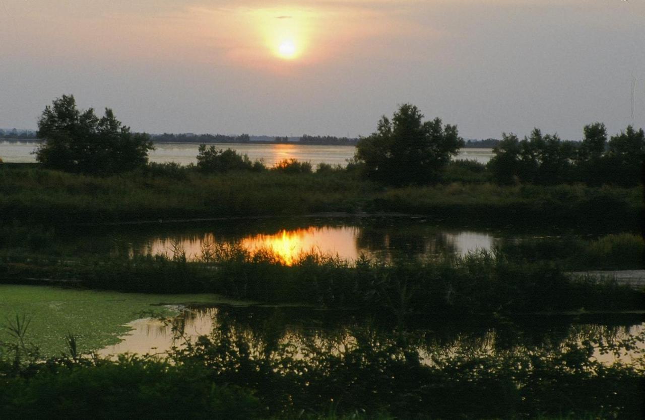 Tize Village Rosolina Dış mekan fotoğraf